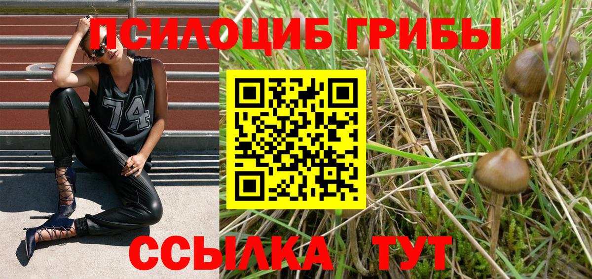 Галлюциногенные грибы прущие грибы Аша